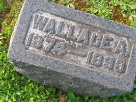 Wallace A Sheldon