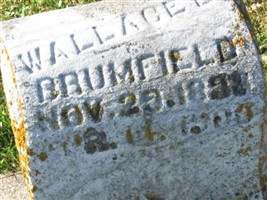 Wallace E. Brumfield