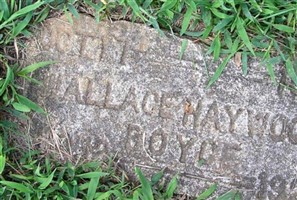 Wallace Haywood Boyce