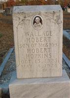 Wallace Hobert Hopkins