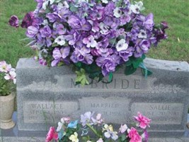 Wallace McBride