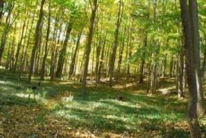 Walnut Grove Cemetery (Chittenango)