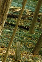 Walnut Grove Cemetery (Chittenango)
