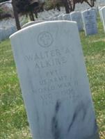 Walter A Alkire