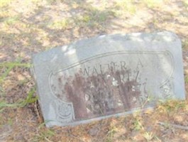 Walter A. Alvarez Walter A. Alvarez