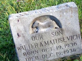 Walter A. Matusevich Walter A. Matusevich