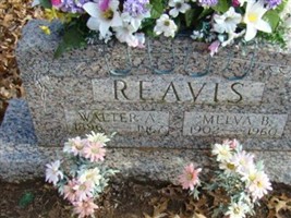 Walter Allen Reavis