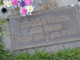 Walter B Forster