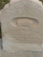 Walter Dale Jensen