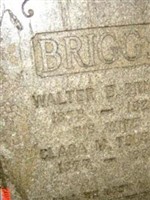 Walter E Briggs