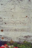 Walter E. Bushey