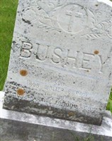Walter E. Bushey