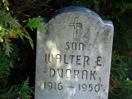 Walter E Dvorak Walter E Dvorak