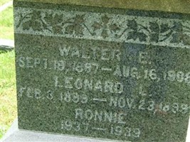 Walter E Loomis Walter E Loomis