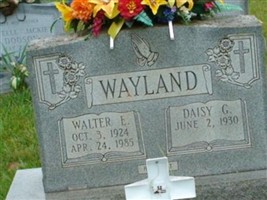 Walter E Wayland