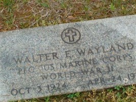 Walter E Wayland