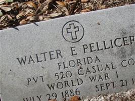 Walter Edward Pellicer