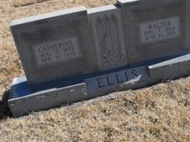Walter Ellis Walter Ellis