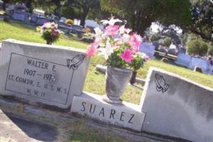Walter F Suarez