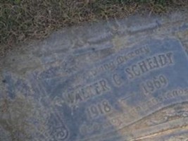 Walter G Scheidt