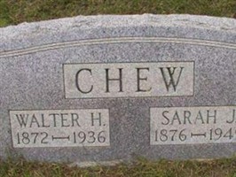 Walter H Chew