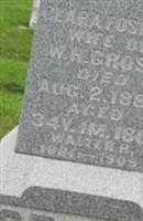 Walter H Gross