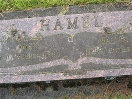 Walter H Hamel