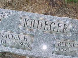 Walter H Krueger