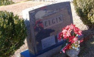 Walter Hershel Elgin Walter Hershel Elgin