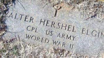Walter Hershel Elgin Walter Hershel Elgin