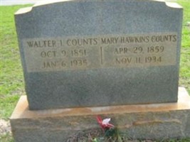 Walter I Counts Walter I Counts