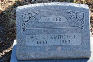 Walter J Mitchell