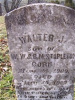 Walter J Stapleton Walter J Stapleton