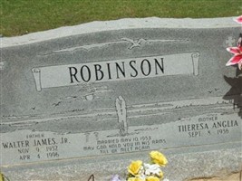 Walter James Robinson, Jr