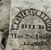 Walter L. Morrill Walter L. Morrill