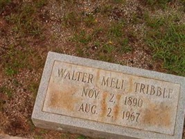 Walter Mell Tribble