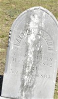 Walter Myron Knight