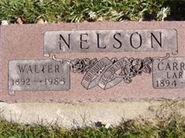 Walter Nelson