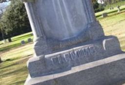 Walter P. Fleming Walter P. Fleming