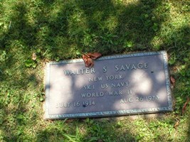 Walter S Savage