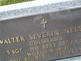 Walter Severin Nelson Walter Severin Nelson