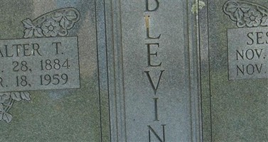 Walter T Blevins