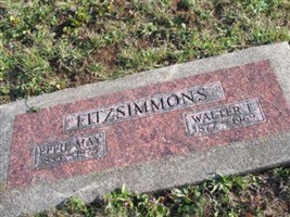 Walter T. Fitzsimmons