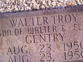 Walter Troy Gentry Walter Troy Gentry