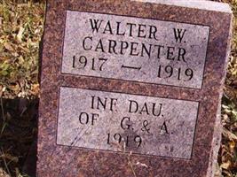 Walter W Carpenter