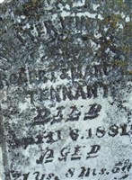 Walter W Tennant