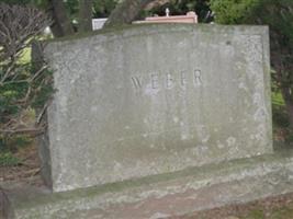 Walter W Weber