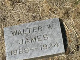 Walter William James