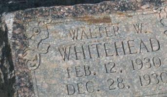 Walter Williams Whitehead