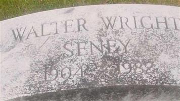 Walter Wright Seney